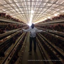 2-5tier Poultry Farm Layer Chicken Cage (Poultry Equipment)